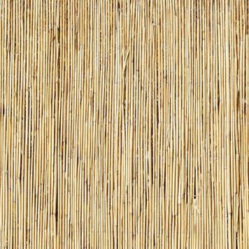 Pillirooaed rull 1,2 x 6 m