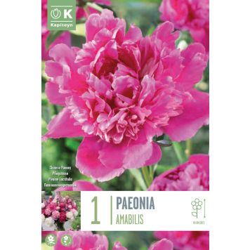 Pojeng General MacMahon 1 tk