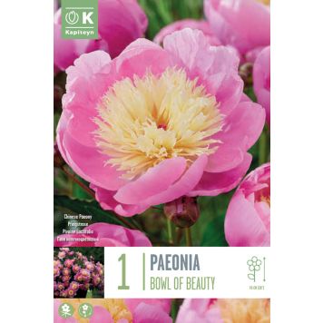 Pojeng Bowl of Beauty