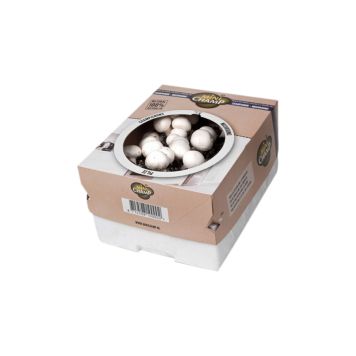 Seene kasvatuskast valge 7,5 l