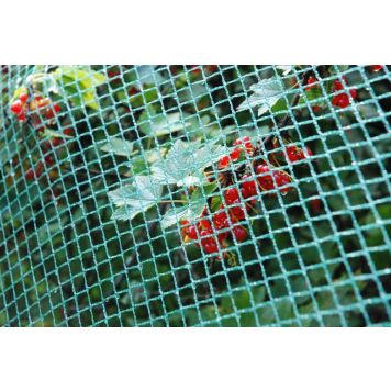 Väiksesilmaline linnuvõrk 4 x 10 m