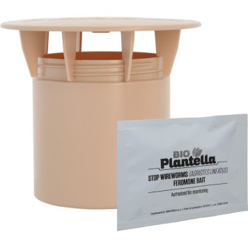 Traatusside püünis feromooniga 1 tk