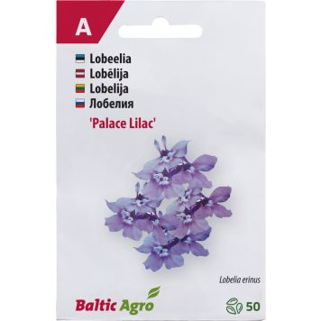 Lobeelia Baltic Agro ‘Lilac Palace’