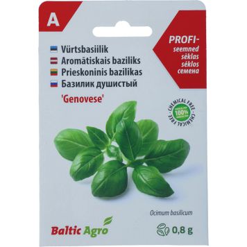 Basiilik Baltic Agro ‘Genovese’