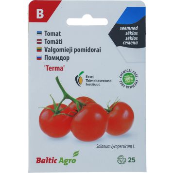 Tomat Baltic Agro ‘Terma’