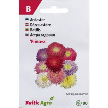 Aster Baltic Agro ‘Princess’