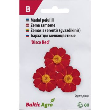 Peiulill Baltic Agro ‘Disco Red’