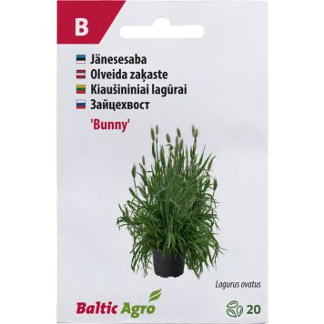 Jänesesaba Baltic Agro ‘Bunny’