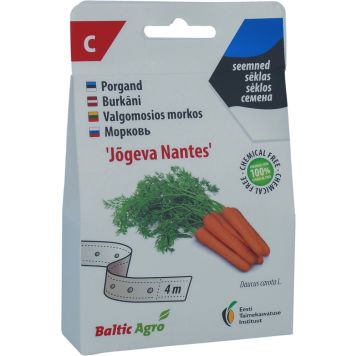 Porgand Baltic Agro ‘Jõgeva Nantes’ seemnelindil