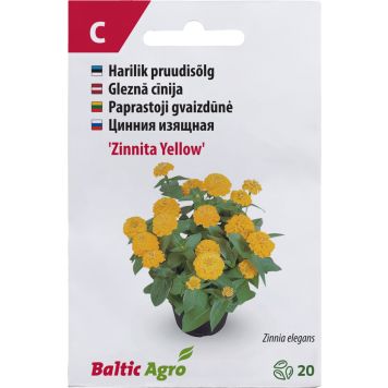 Pruudisõlg Baltic Agro ‘Zinnita Yellow’