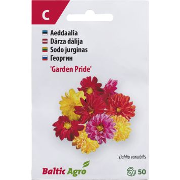 Daalia ‘Garden Pride’