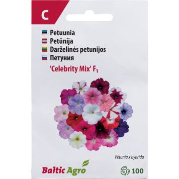 Petuunia ‘Celebrity Mix’