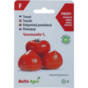 Tomat Baltic Agro ‘Gourmandia’ F1
