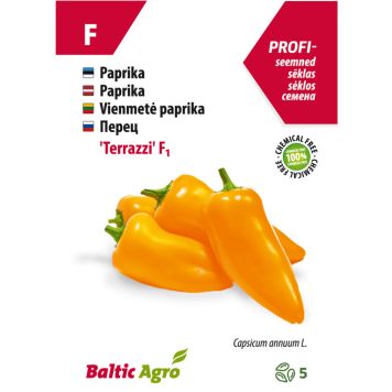 Minipaprika Baltic Agro ‘Terrazzi’ F1