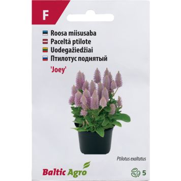Miisusaba Baltic Agro ‘Joey’