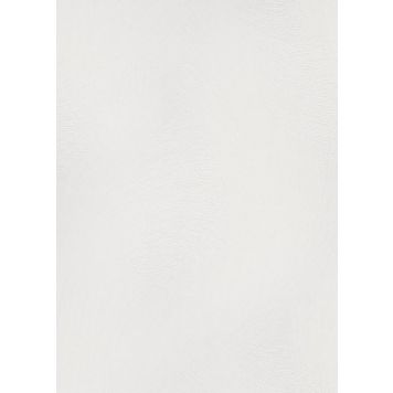 Fliistapeet Erismann Envogue Wiper 10403-01 valge