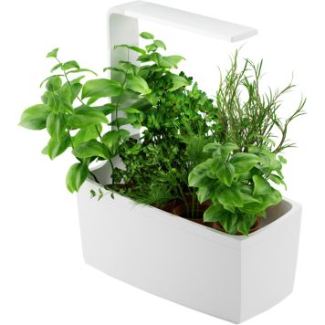 Nutikas Lillepott Tregen T6, valge