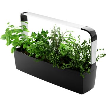 Nutikas Lillepott Tregen T12, must