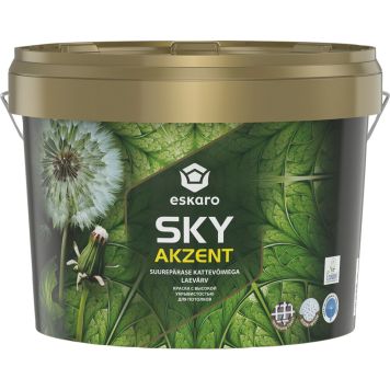 Laevärv Sky Akzent 9 l