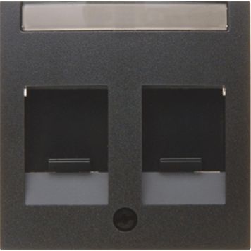 Telefon-arvutipesa keskplaat Berker S1 must 2-ne