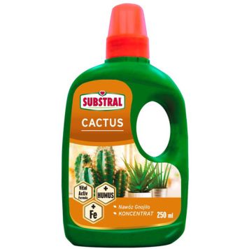 Kaktuse väetis Substral 250 ml