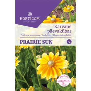 Karvane päevakübar Horticom Prairie Sun 50 seemet