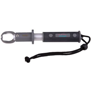 Kalahaarats Westlife