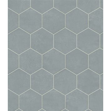 Vinüül Evasion 770M 2 m, hall