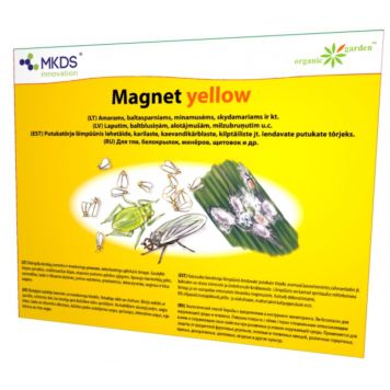 Magnet yellow liimpüünis