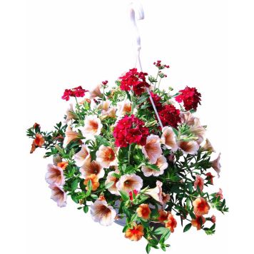 Suvelilleampel Confetti mix