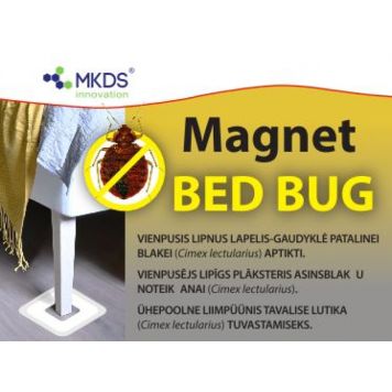 Lutikate liimpüünis Holding Invest Magnet Bed Bug 4 tk