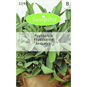 Aedsalvei Suvipiha