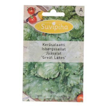 Jääsalat Great Lakes Suvipiha 1 g