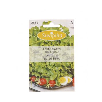 Lehtsalatsalad Bowl Suvipiha 1g