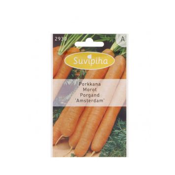 Porgand Amsterdam Suvipiha 2,5g