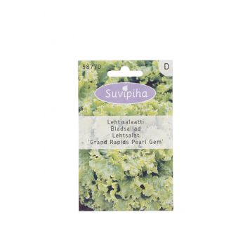 Lehtsalat Grand Rapids Pearl Gem F1 Suvipiha 0,5 g