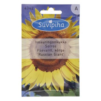 Päevalill Russian Giant