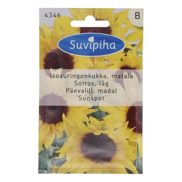Päevalill Sunspot Suvipiha 2 g