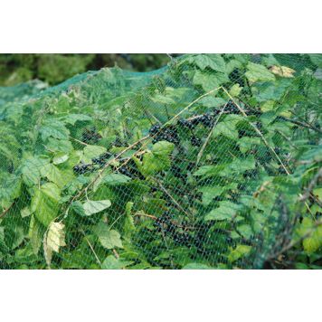 Linnuvõrk Tarha 40 m²