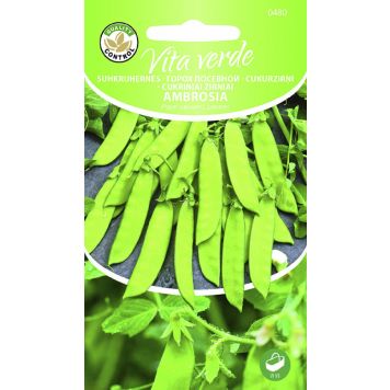 Hernes Ambrosia suhkruhernes