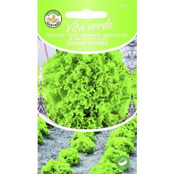 Lehtsalat Grand Rapids