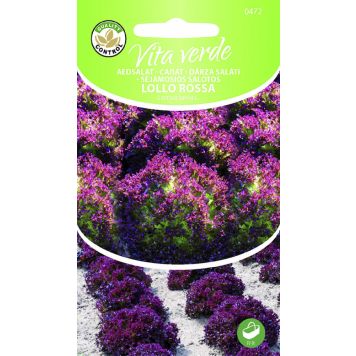 Lehtsalat Lollo Rossa