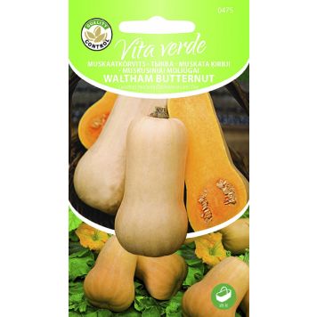 Muskaatkõrvits Waltham Butternut