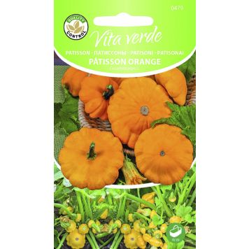 Patisson Patisson Orange