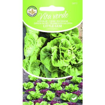 Rooma salat Littlegem