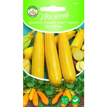 Suvikõrvits Goldena