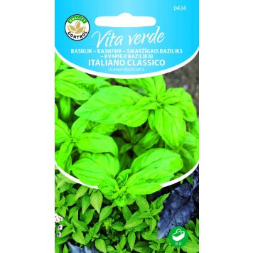 Basiilik Italiano Classico