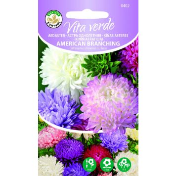 Aedaster American Branching