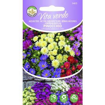 Aedaster Pinocchio segu