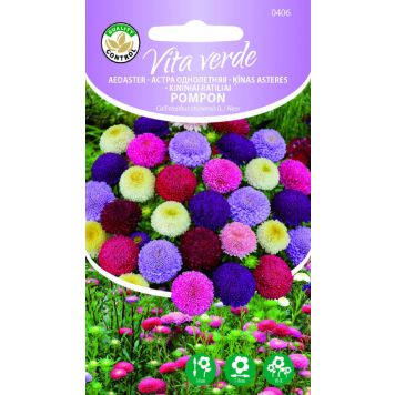 Aedaster Pompon segu